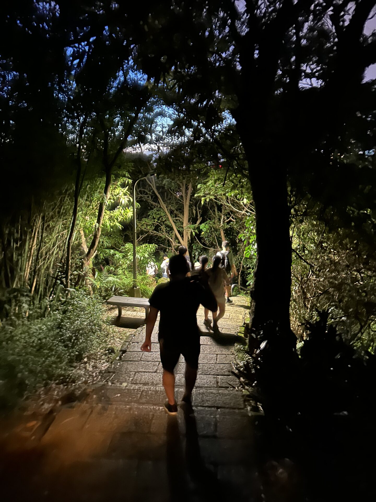 On the way down Elephant Mountain Taipei, Taiwan,