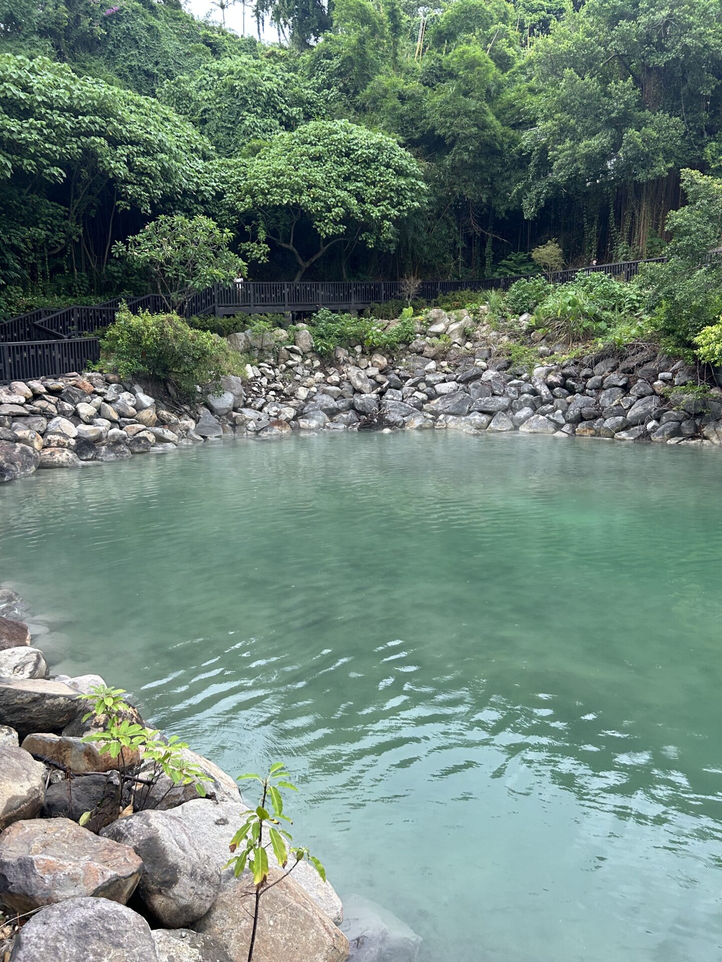 Yangmingshan and Beitou Hot Springs | What to Expect