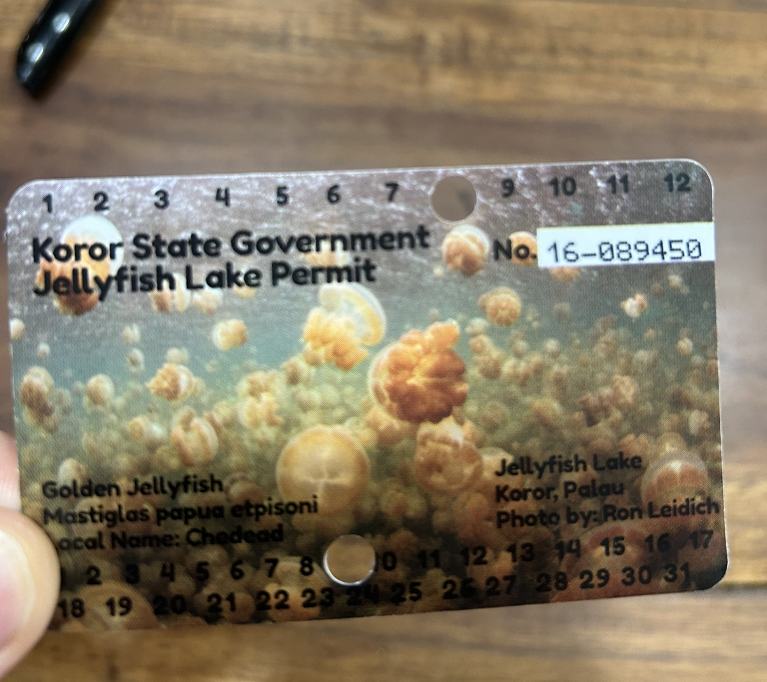 Koror State Government Jellyfish Lake Permit
