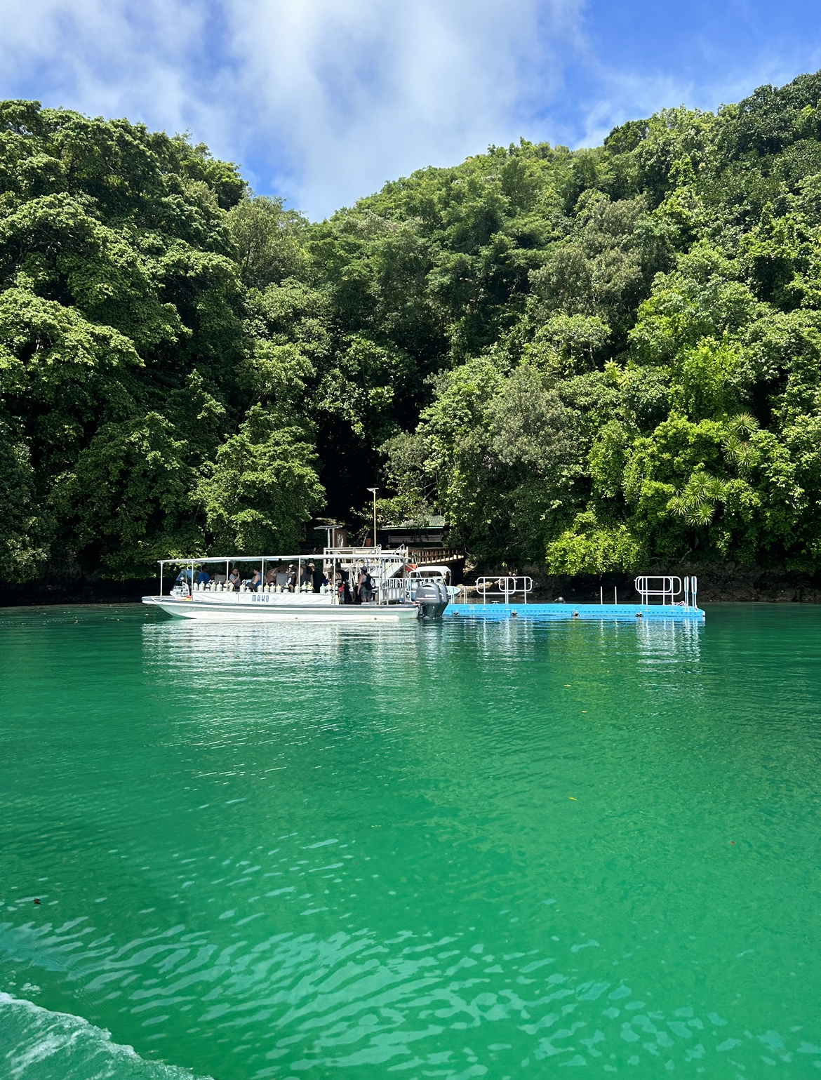 Jellyfish Lake