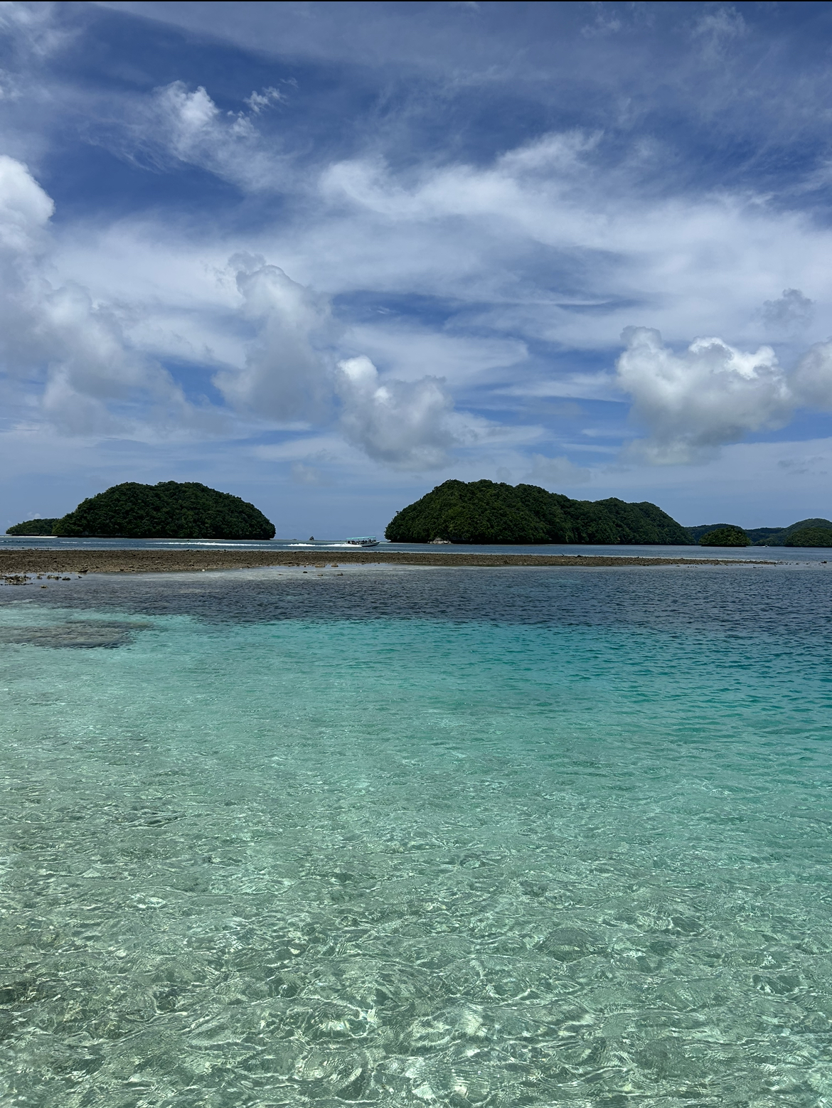 View from Shark Island