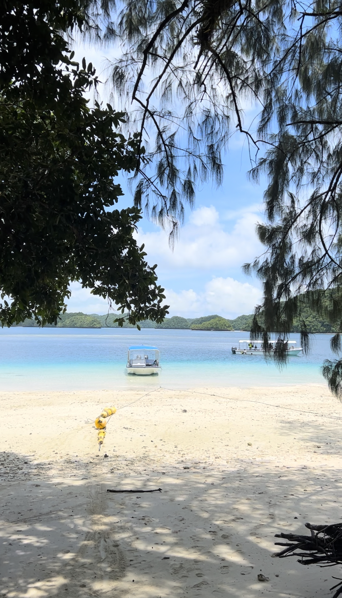 Palau Day Trip | Rock Islands Tour