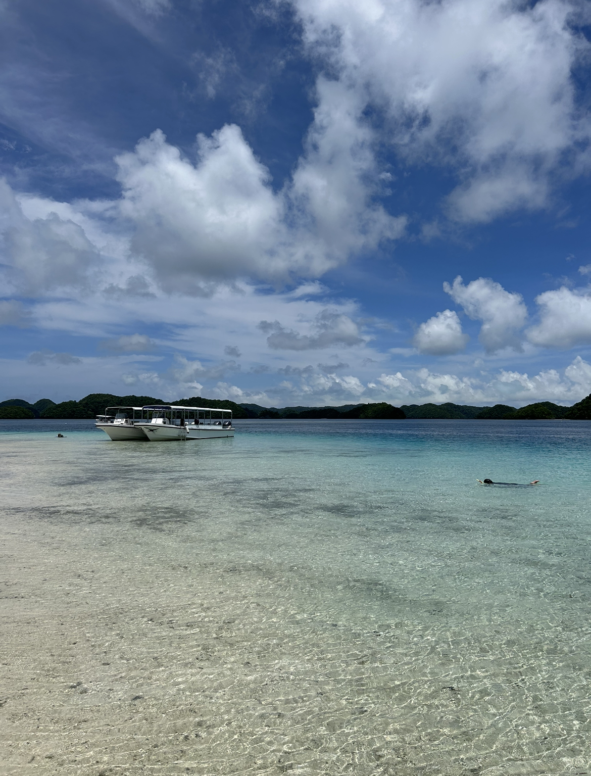 Great visibility when snorkelling at Shark Island, Palau.