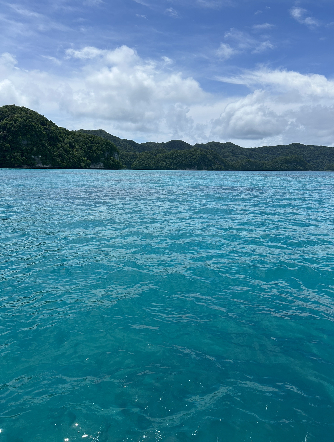 Beautiful water on the way to Milky Way, Palau.