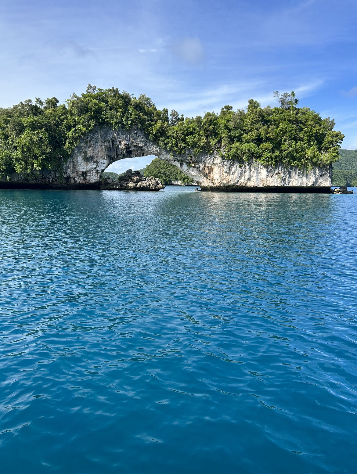 National Arch of Palau.