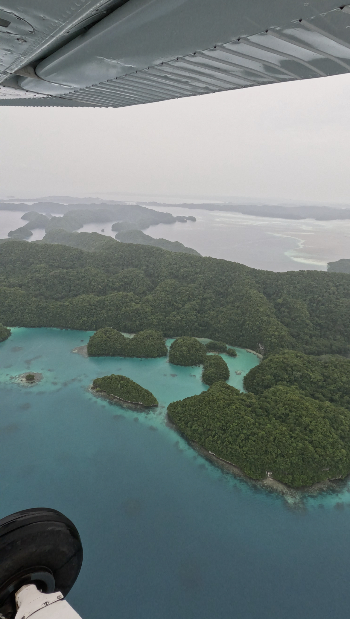 Milky Way Palau