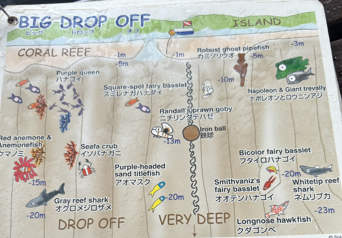 Big Drop Off Dive Map