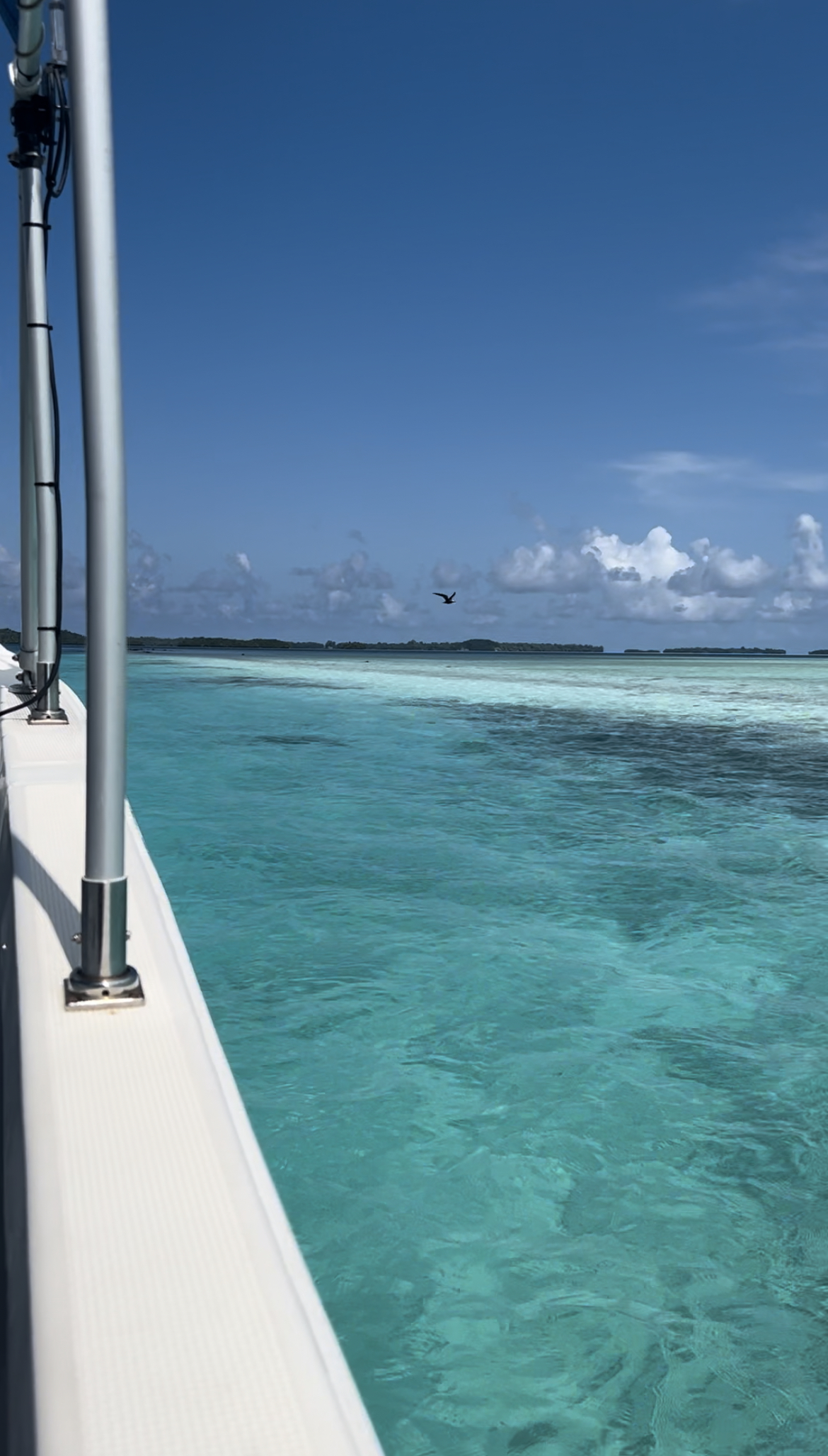 En route to dive site, Palau.