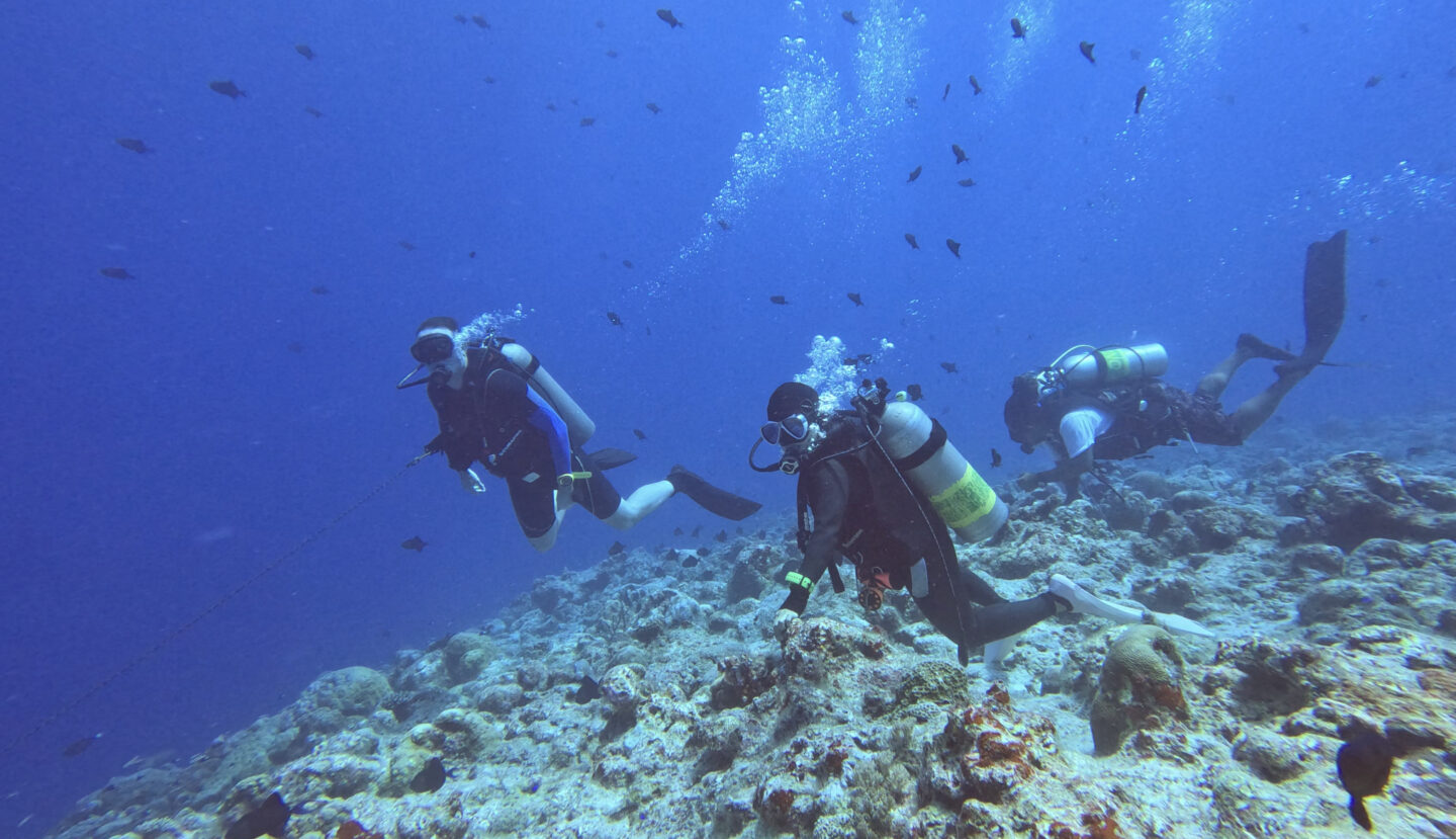 Scuba Diving with Cruise Control Palau