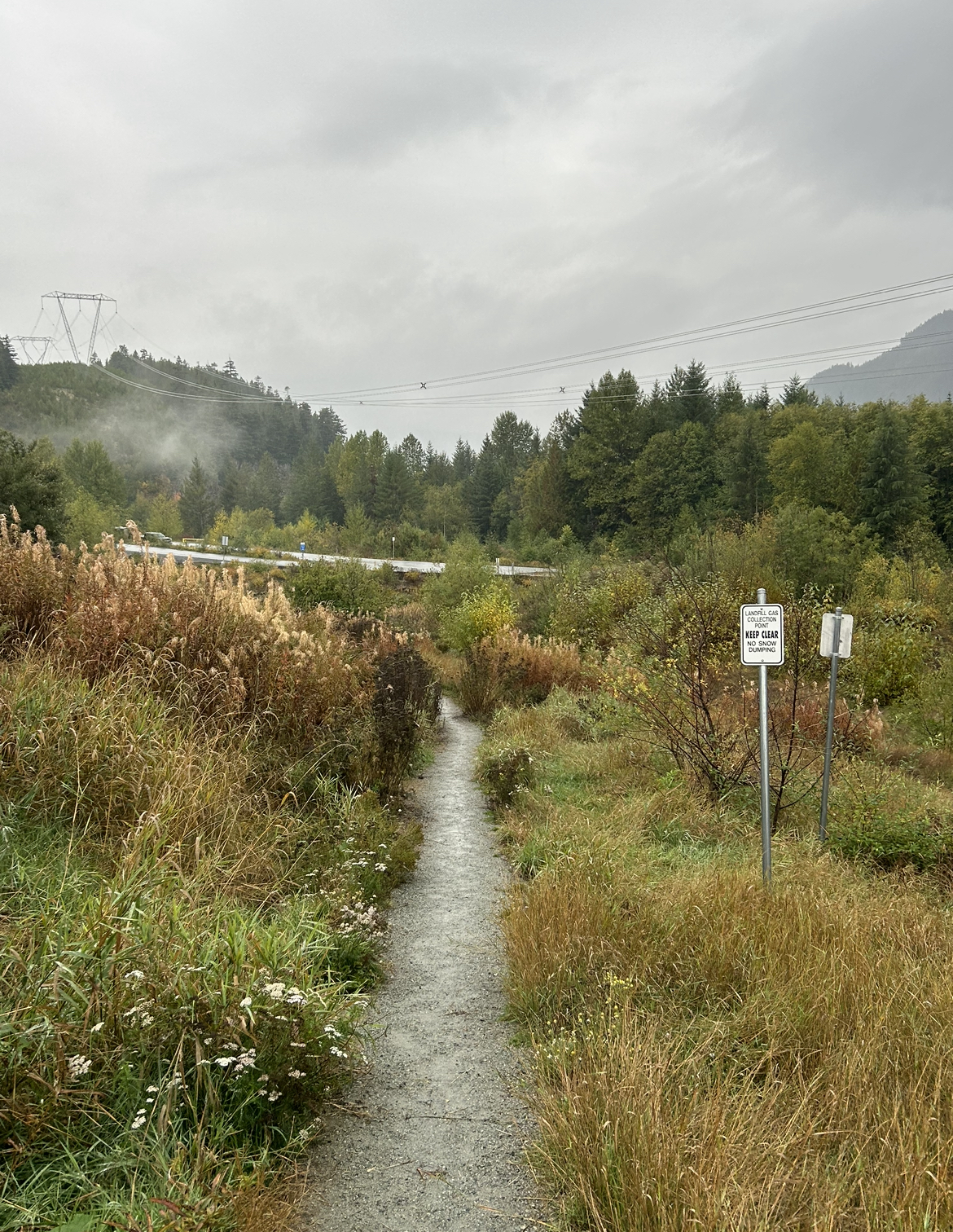 Path towards Train Wreck Hike path near Whistler, British Columbia, Canada.