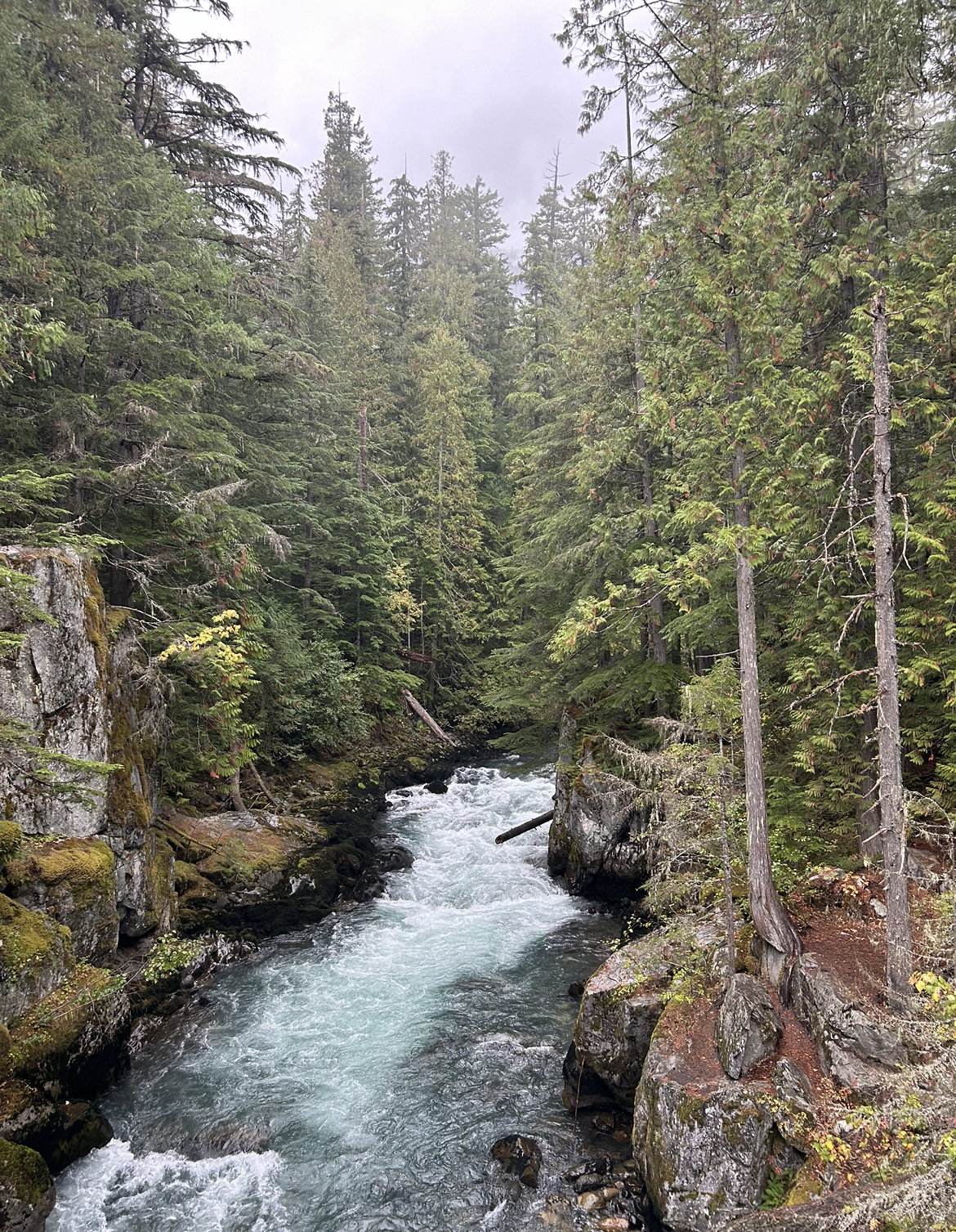 Cheakamus River, Whistler, British Columbia, Canada.