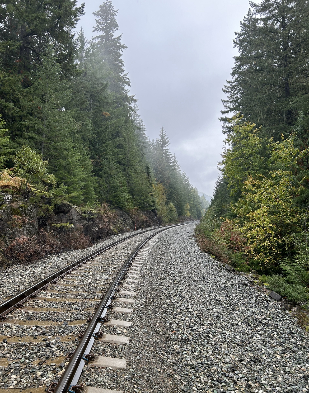 Train tracks beyond Train Wreck Trail. Whistler, British Columbia, Canada