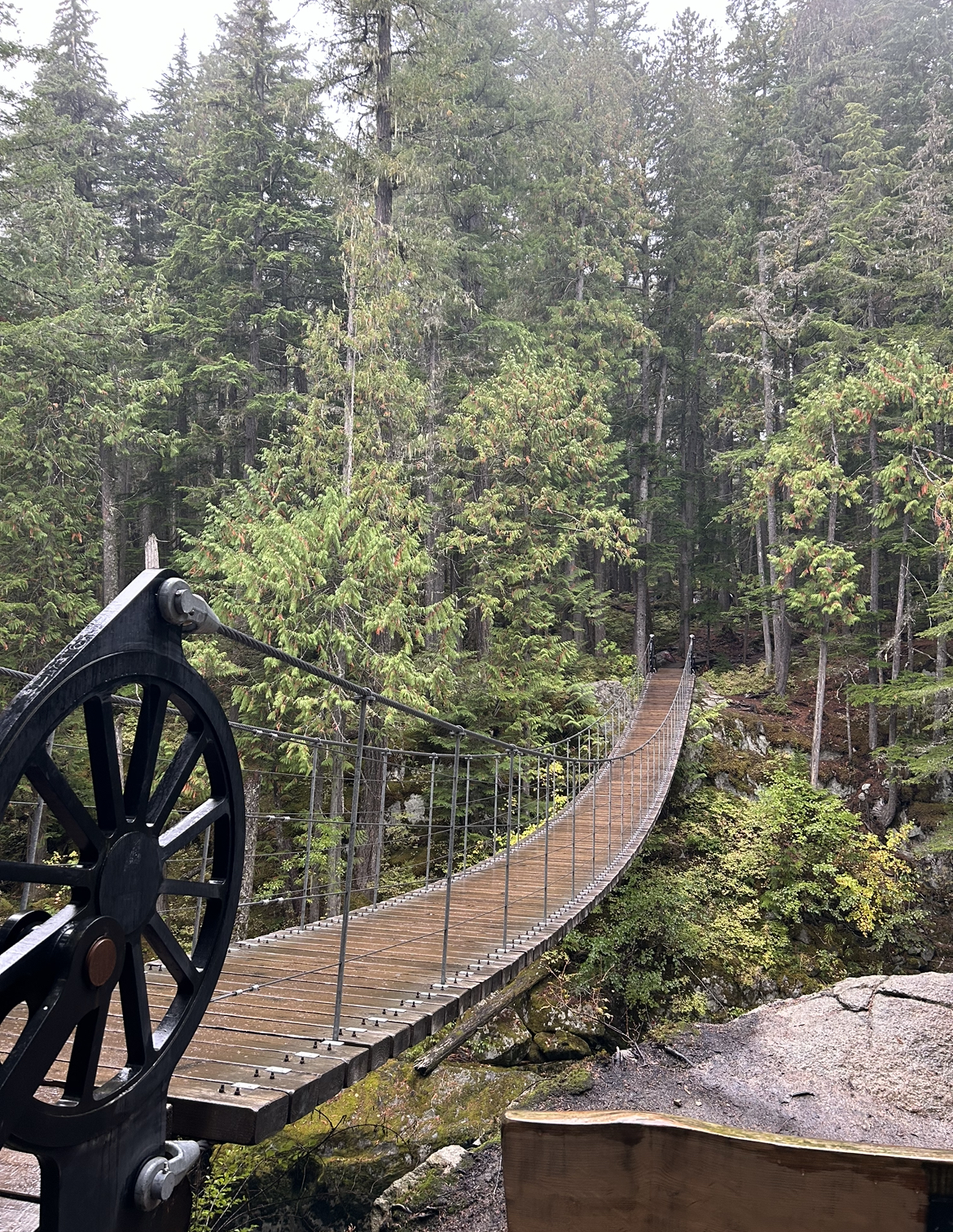 Bridge to Train Wreck in Whistler, British Columbia, Canada.