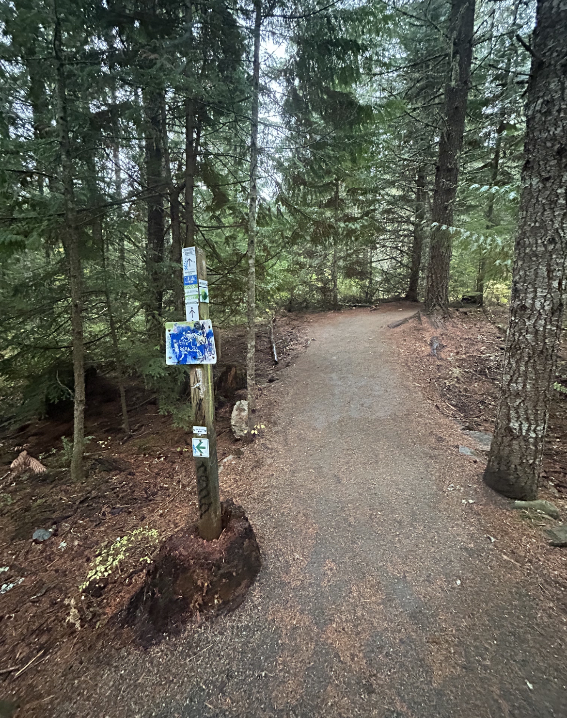 Signpost along Train Wreck Hike in Whistler, British Columbia, Canada.