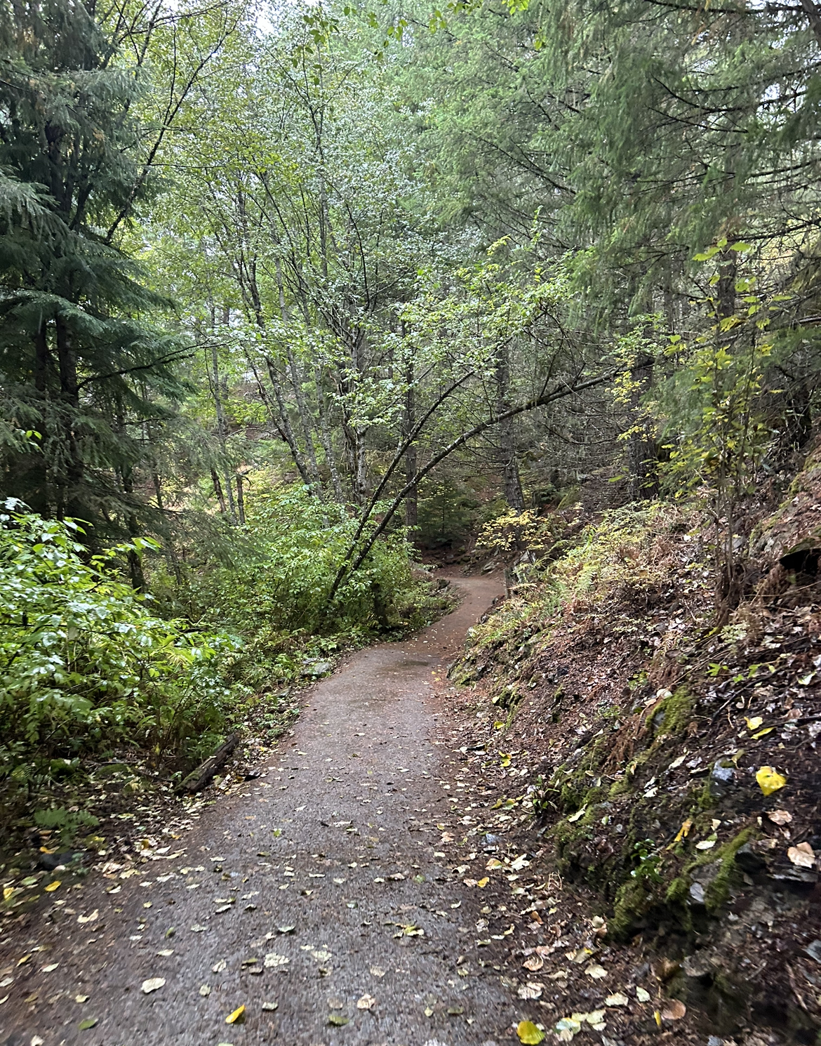 Train Wreck Hike Trail Whistler British Columbia, Canada.