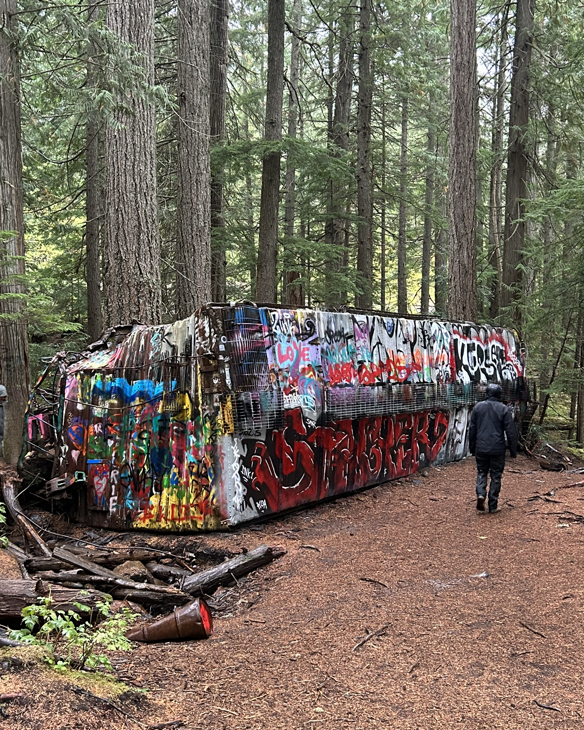 Train Wreck Hike in Whistler | What to Expect