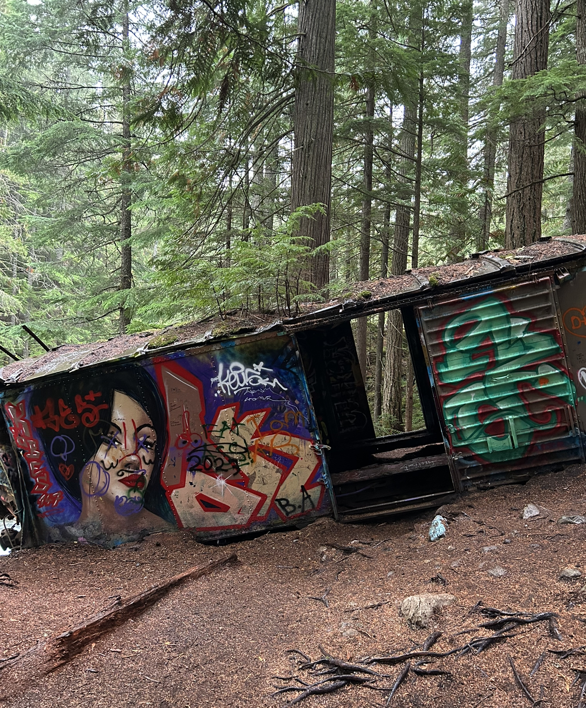 Train Wreck Whistler British Columbia Canada