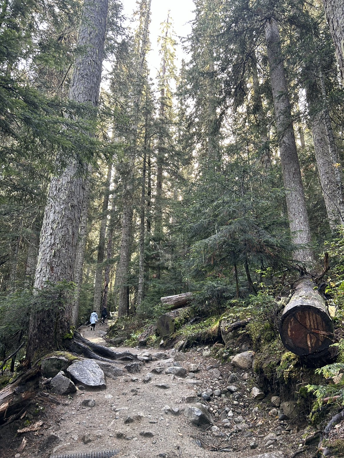 Joffre Lakes Lower to Middle Lake Trail