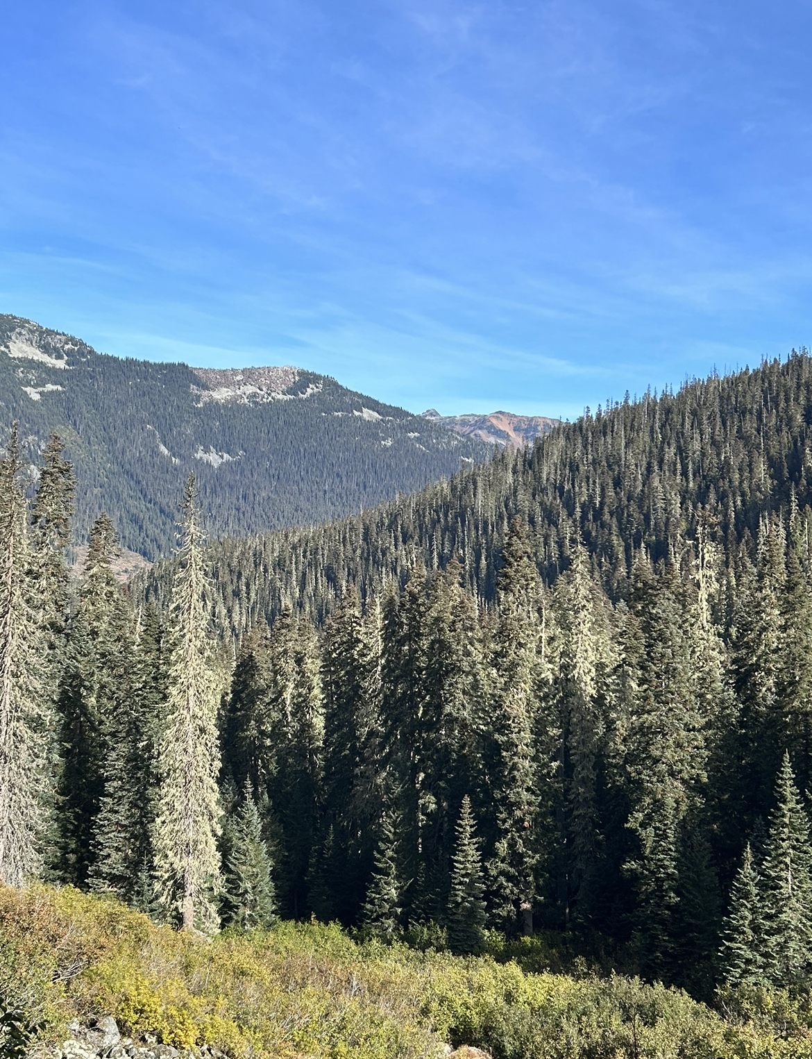 Joffre Lakes Lower to Middle Lake Trail