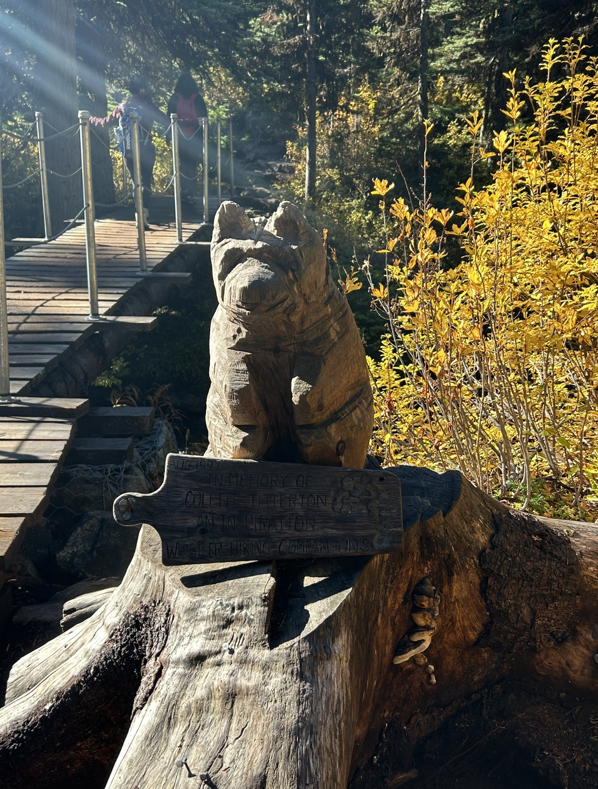 Joffre Lakes Middle to Upper Trail Bear Sign