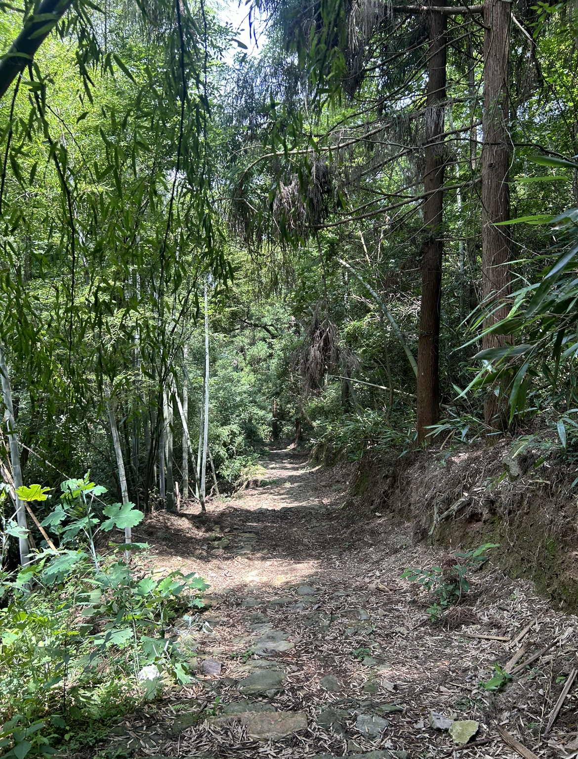 Wuding Path with Stream Xiaoling Ancient Trail Anji Zhejiang Province China.