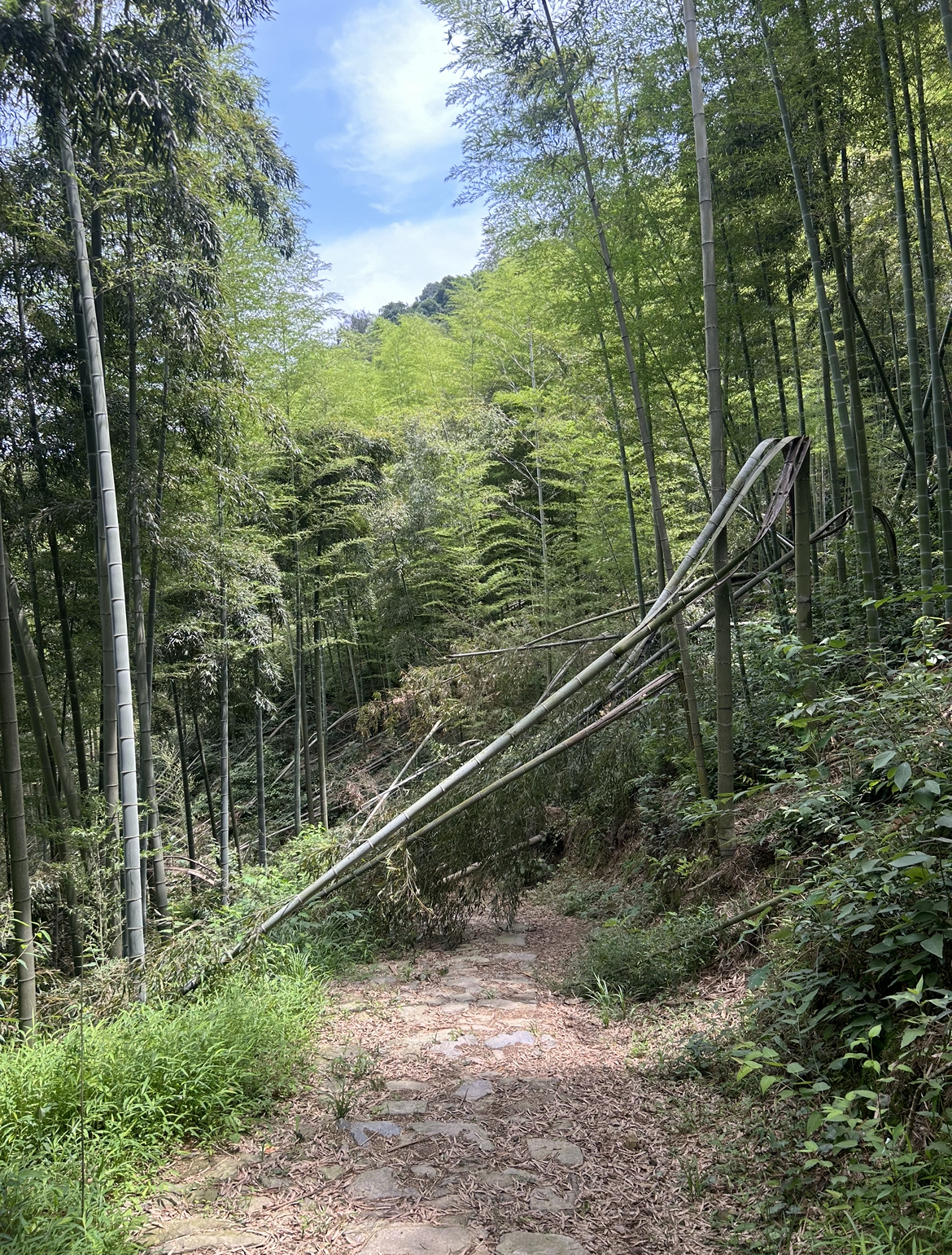 Xiaoling Ancient Trail Anji Zhejiang Province China.