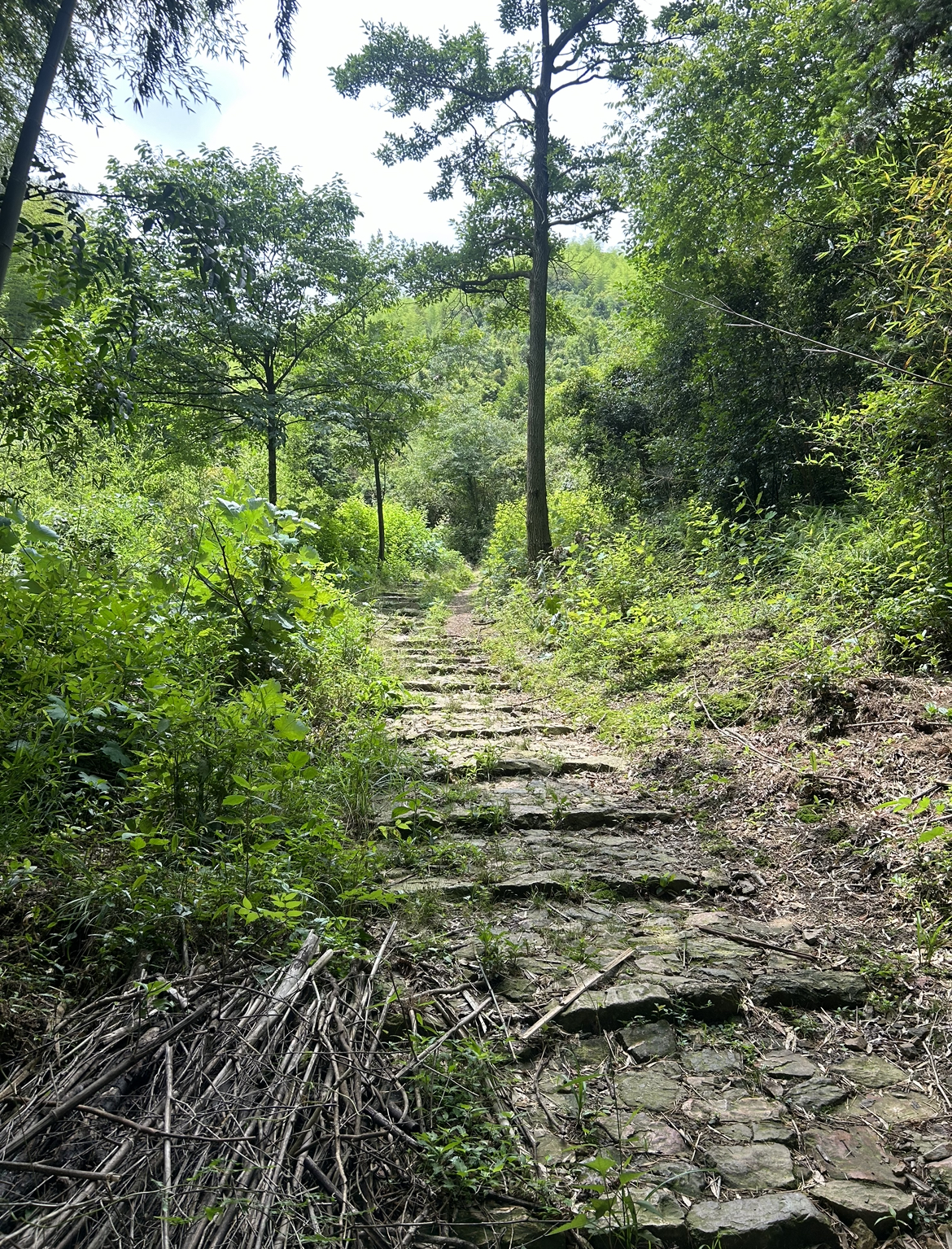 Xiaoling Ancient Trail Anji Zhejiang Province China.