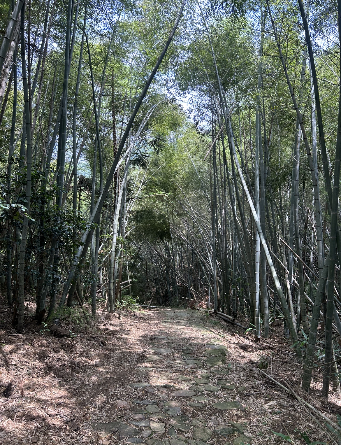 Zhuyun Posthousea Trail Xiaoling Ancient Trail Anji Zhejiang Province China.