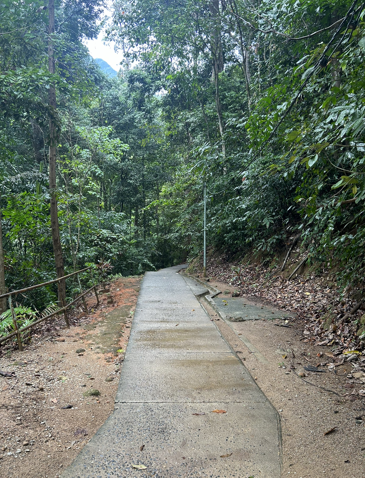 Path towards Seven Wells Waterfall Langkawi Malaysia.