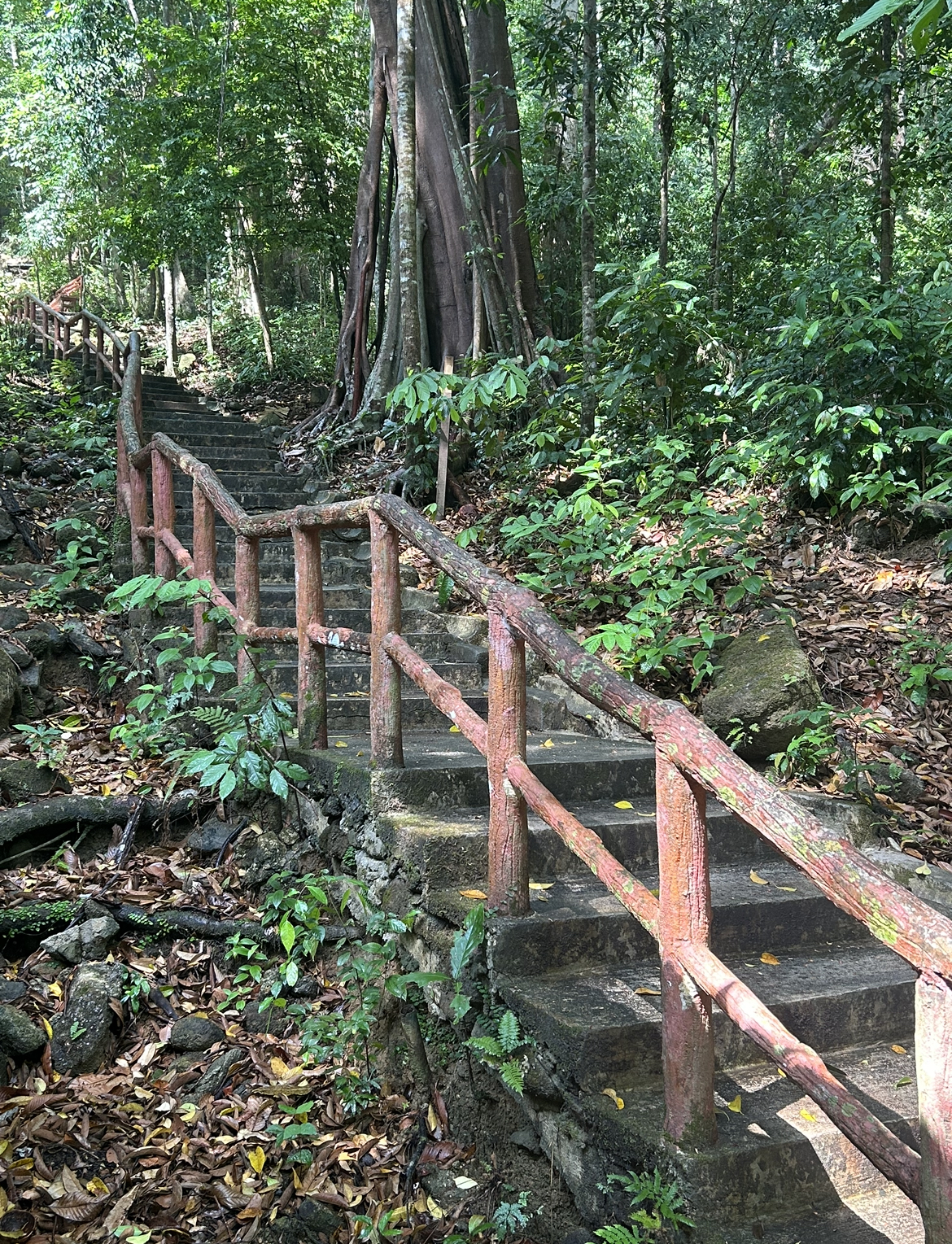 Steps close to Seven Wells Waterfall Langkawi Malaysia