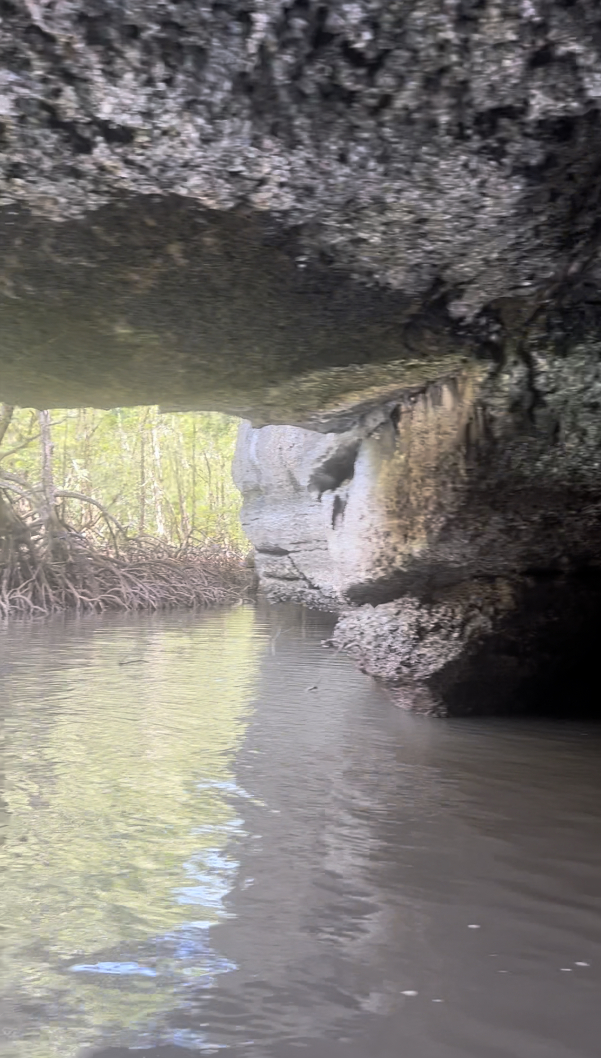 Crocodile Cave. Mangrove Tour, Langkawi, Malaysia.