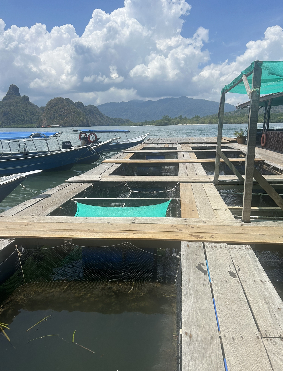 Fish Farm. Mangrove Tour, Langkawi, Malaysia.