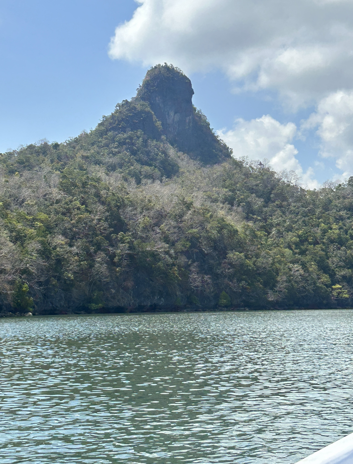 Gorilla Mountain. Mangrove Tour, Langkawi, Malaysia.