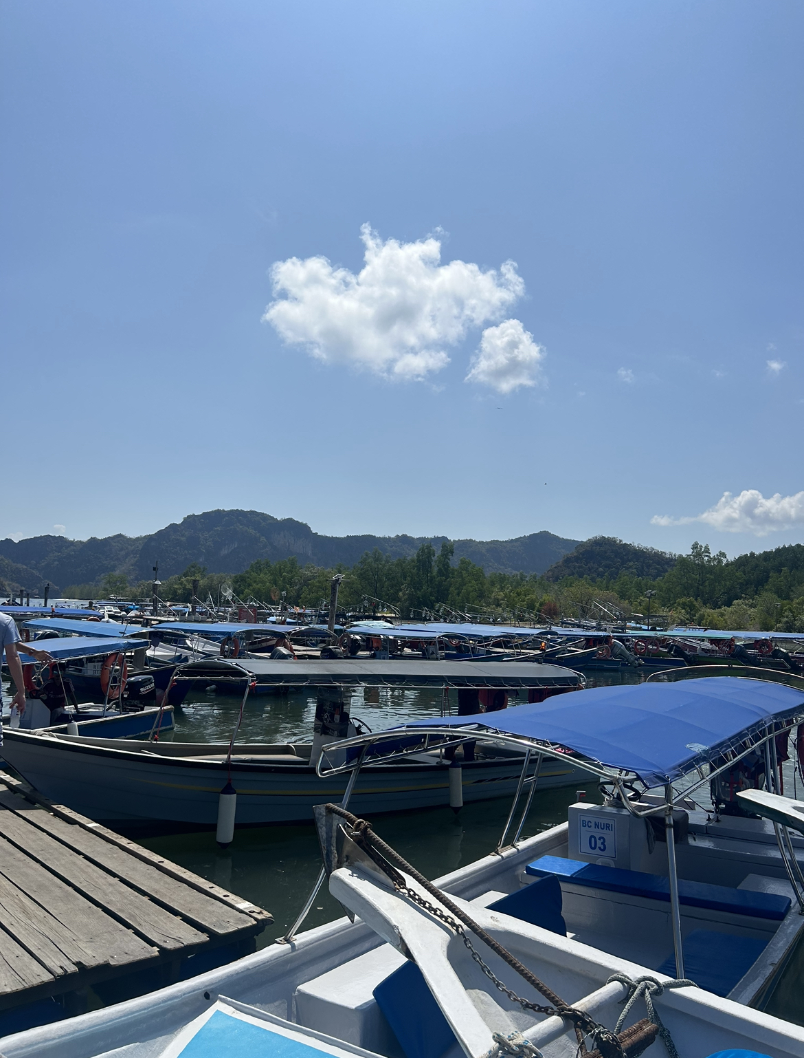 Boats for Mangrove Tour. Langkawi, Malaysia.