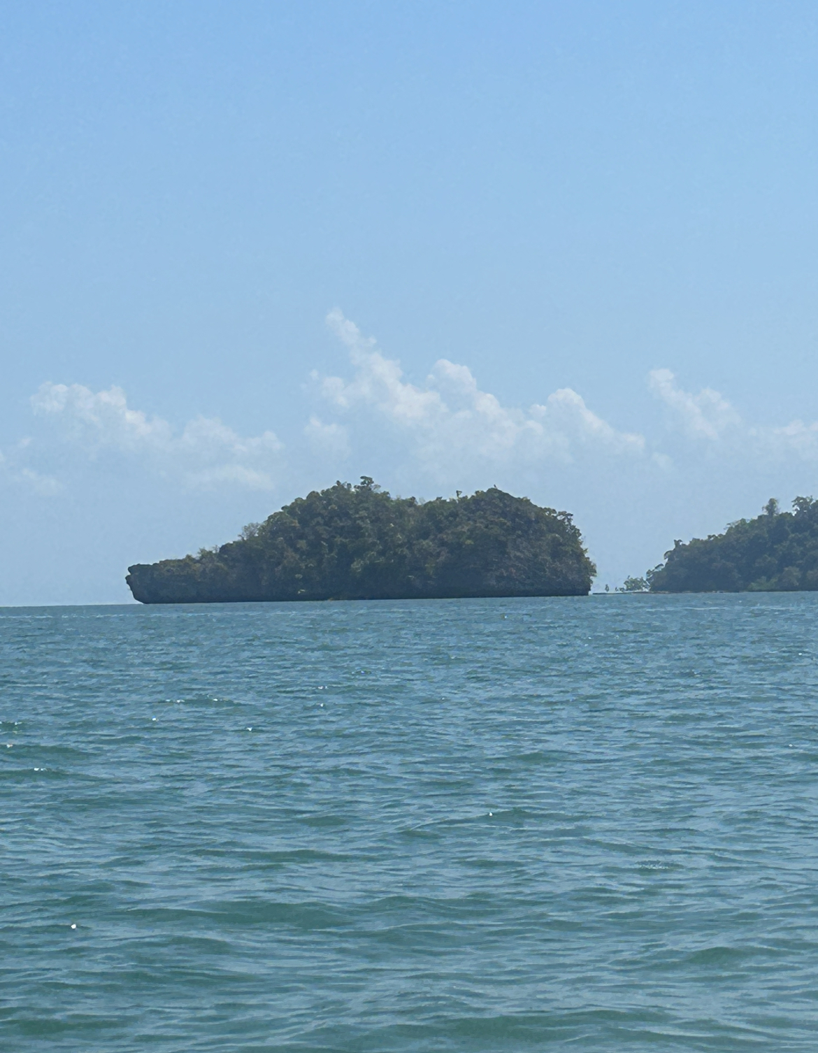 Shoe Island. Mangrove Tour, Langkawi, Malaysia.