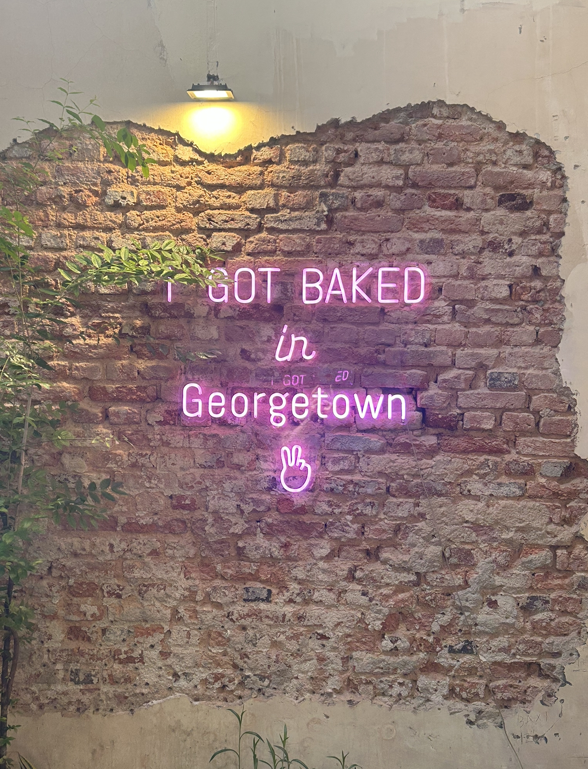 Yins Sourdough I Got Baked in Georgetown Sign