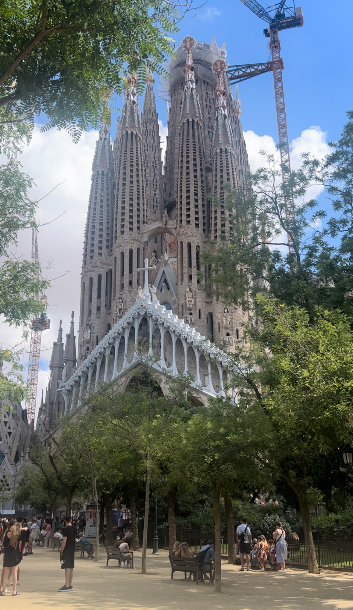 Sagrada Familia, Barcelona | What to Expect.